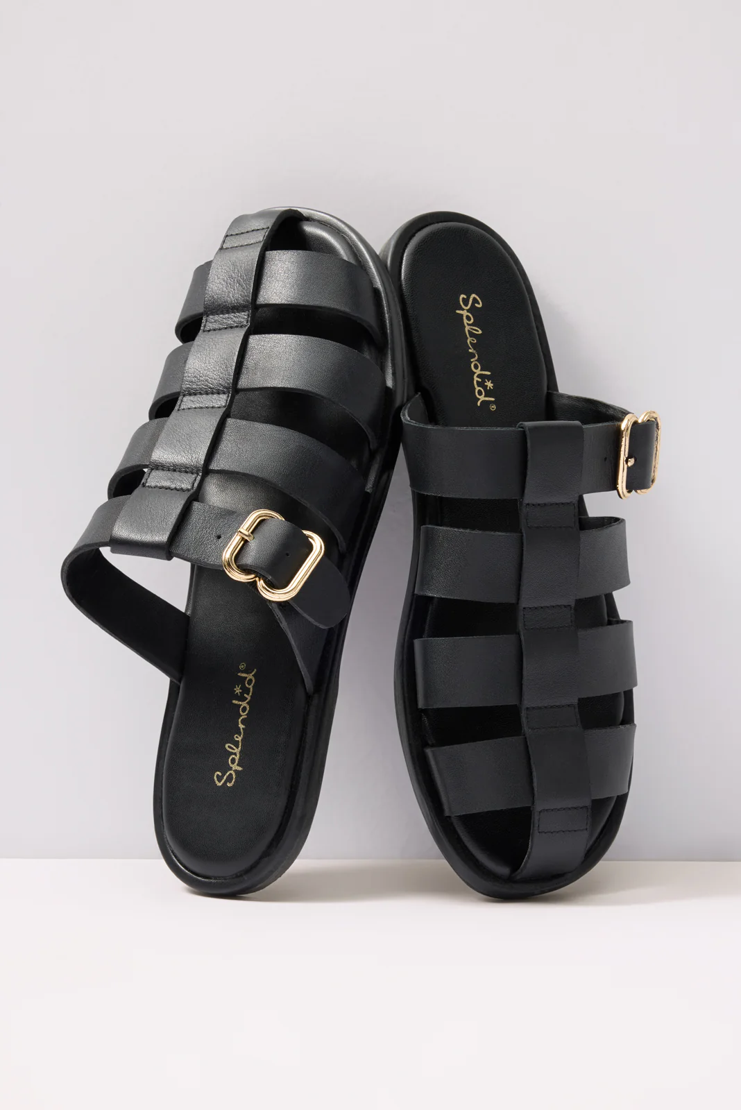 Fatima FIsherman Slide