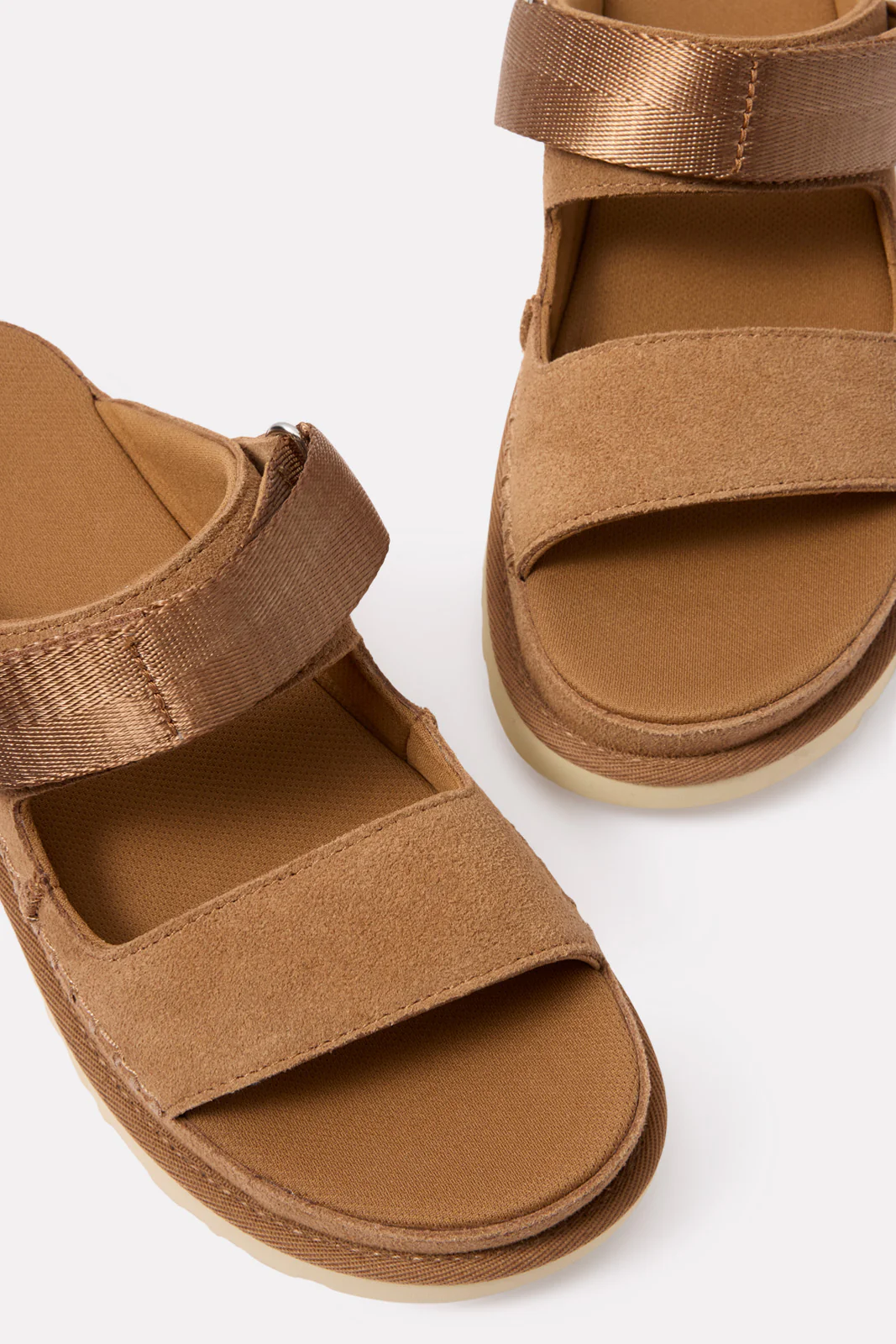 Goldenstar Glide - Image 3