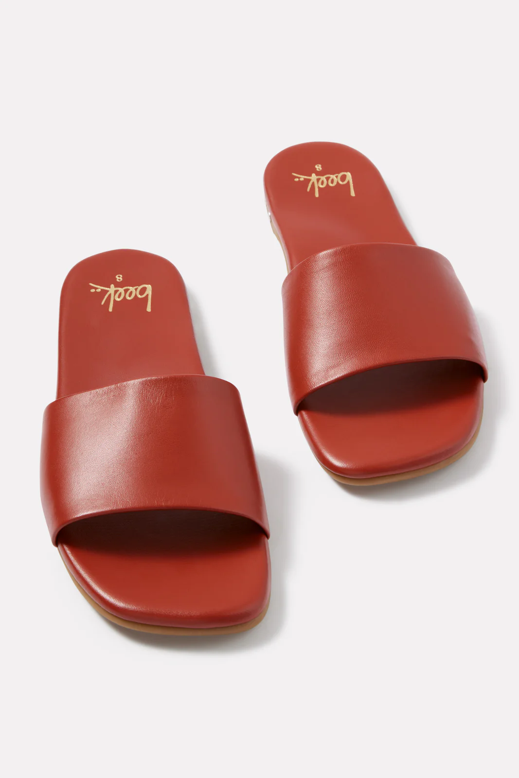 HoneyBird Slide - Image 2