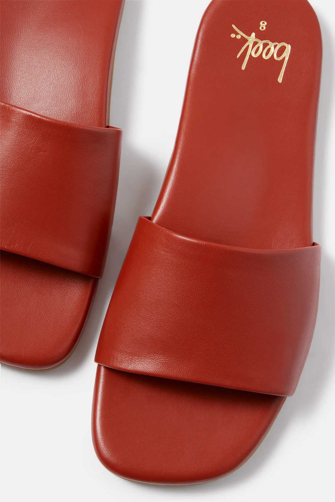 HoneyBird Slide - Image 4