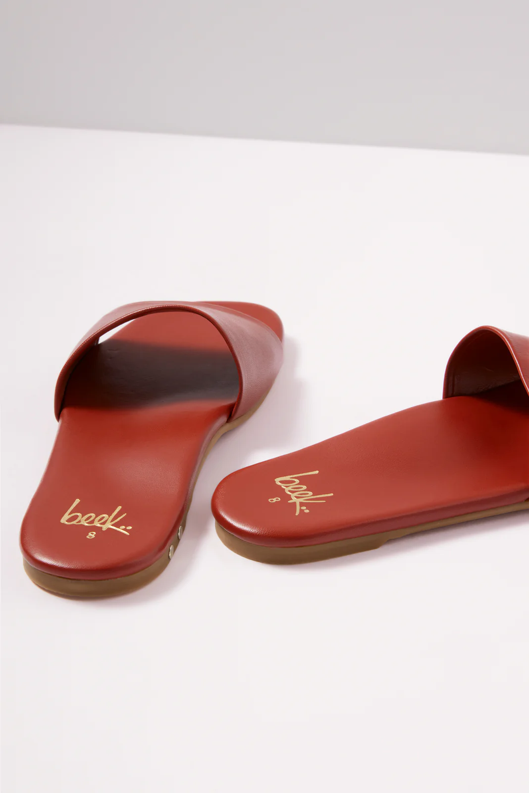 HoneyBird Slide - Image 6