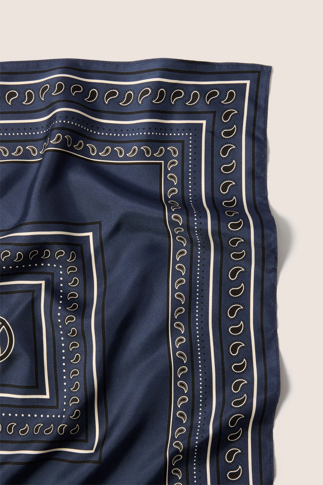 Paisley Silk Scarf - Image 2