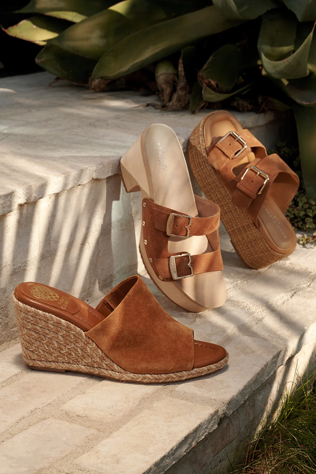 Palery Flatform - Image 5